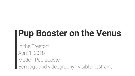 Video: Pup Booster On The Venus