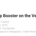 Video: Pup Booster On The Venus