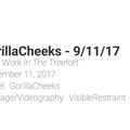 Video: GorillaCheeks - Floor Work on 9-11-17