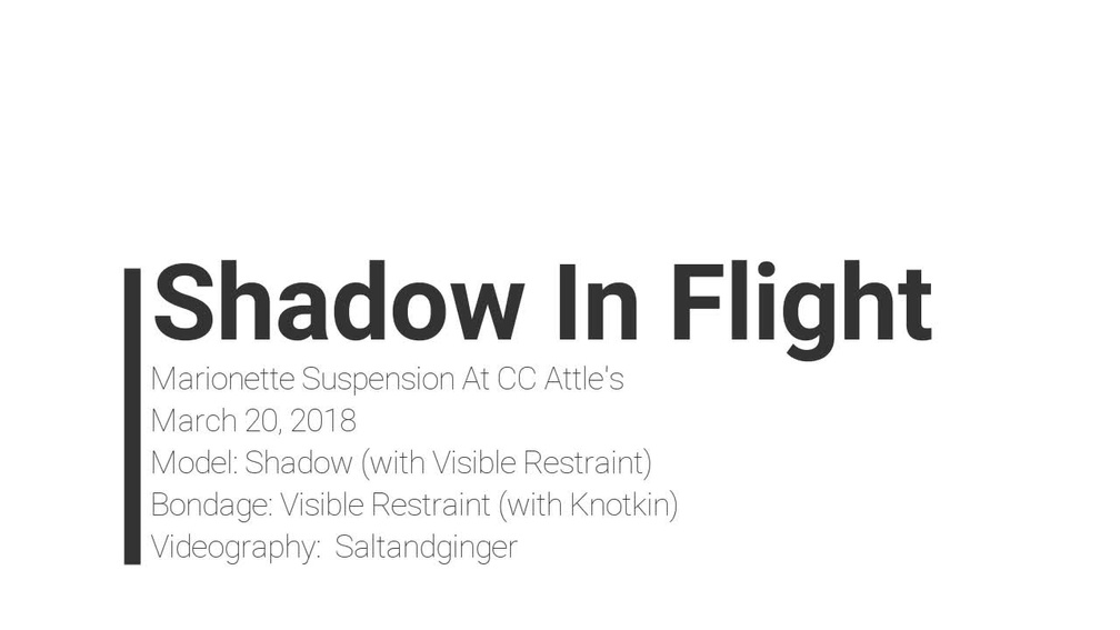 Video: Shadow In Flight