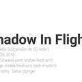 Shadow In Flight.mp4